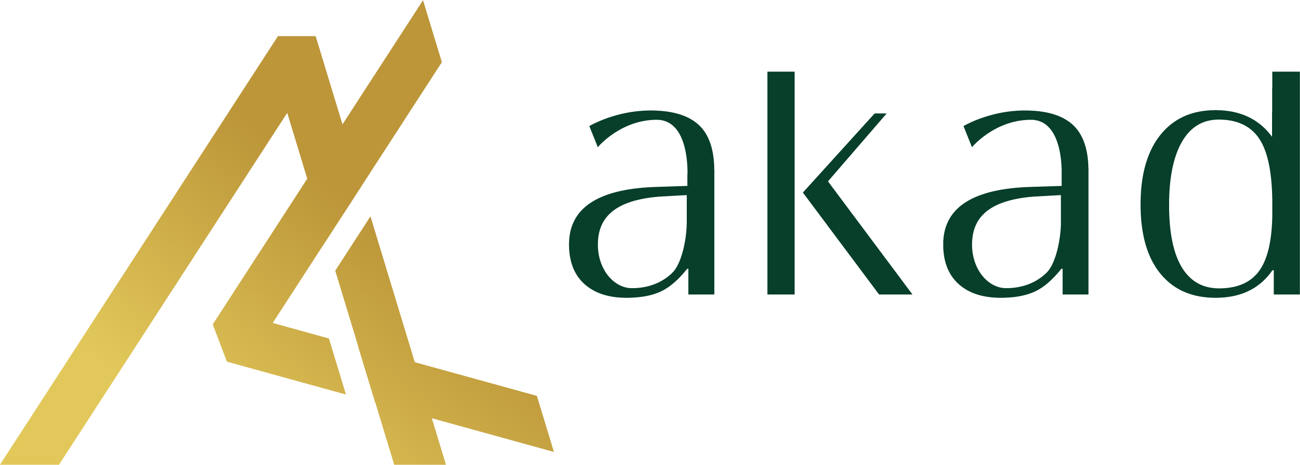 LOGO AKAD