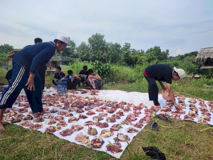 Laznas PPPA Daarul Qur'an Banten Gelar Pemotongan dan Bagikan Daging Kurban di Pesantren Daarul Jameel, Kampung Rencong